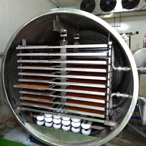 Vacuum Freeze Drying